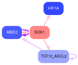 PNG image of the network