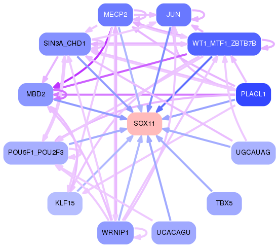 PNG image of the network