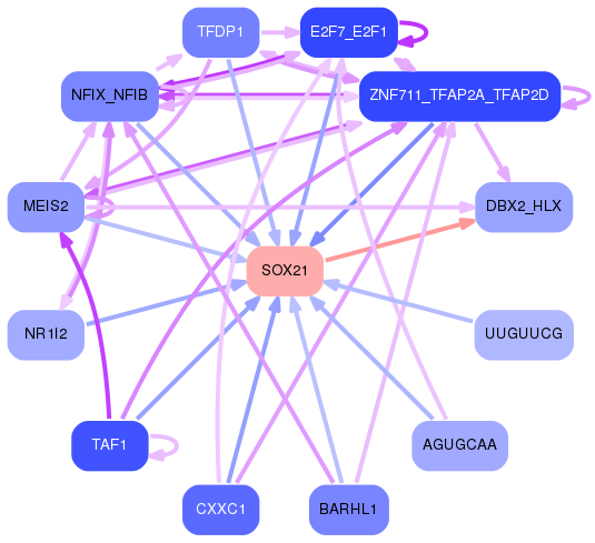 PNG image of the network