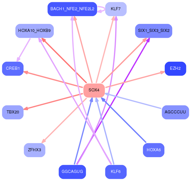 PNG image of the network