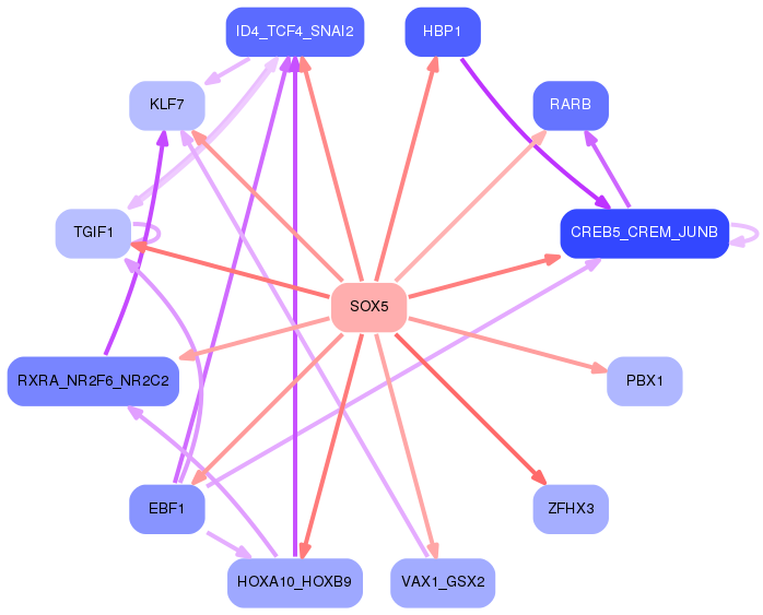 PNG image of the network