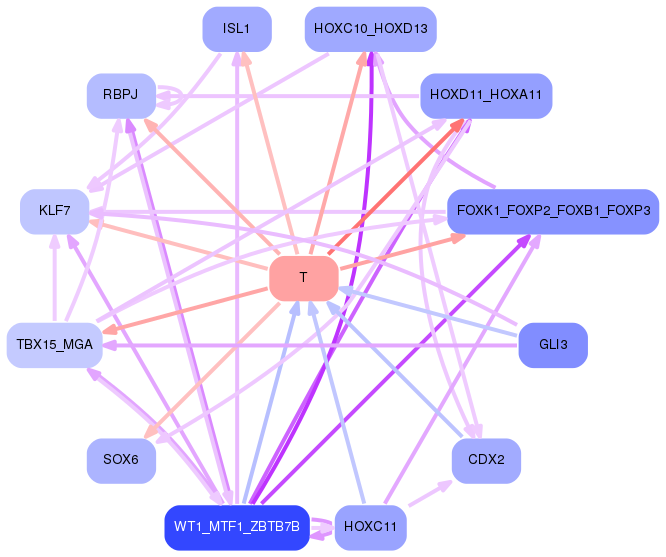 PNG image of the network