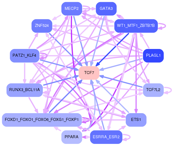PNG image of the network