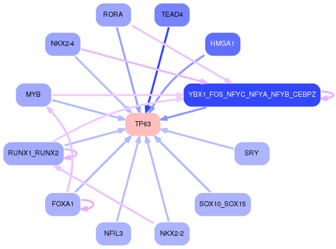 PNG image of the network
