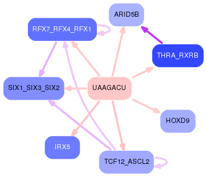 PNG image of the network