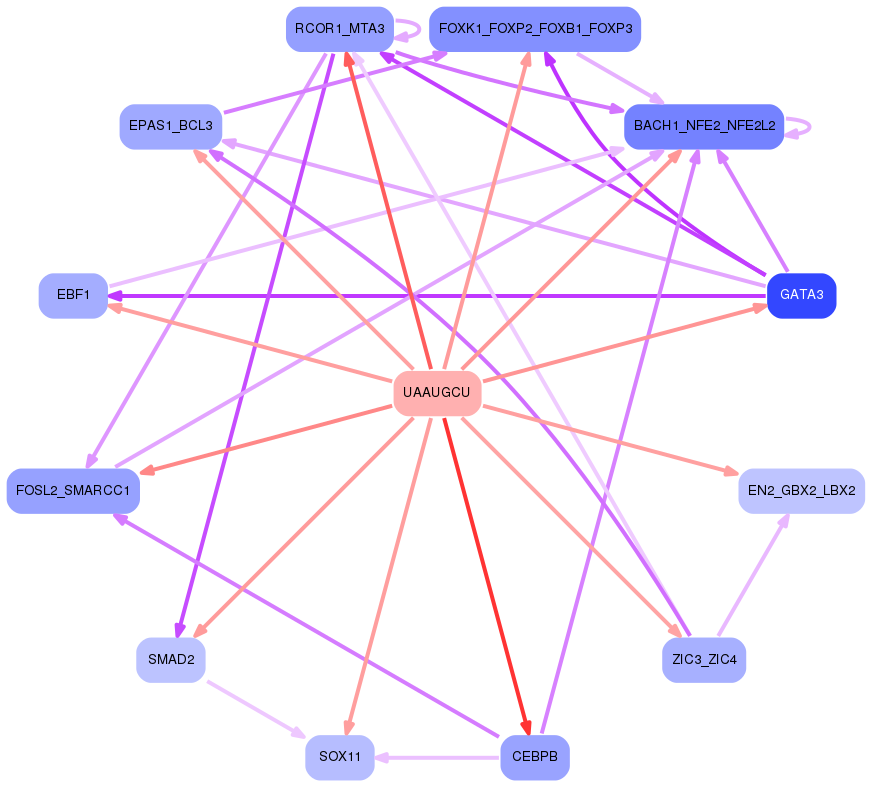 PNG image of the network