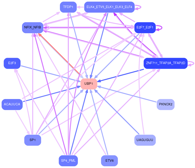 PNG image of the network