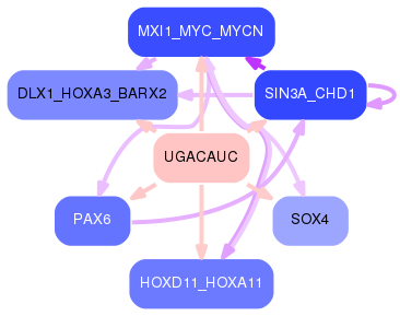 PNG image of the network