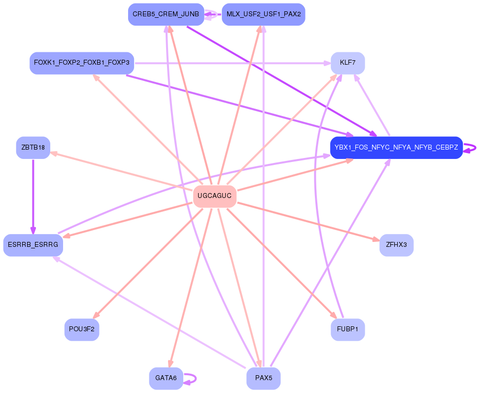 PNG image of the network