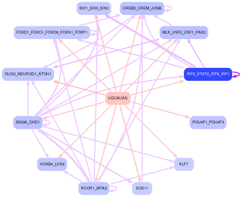 PNG image of the network