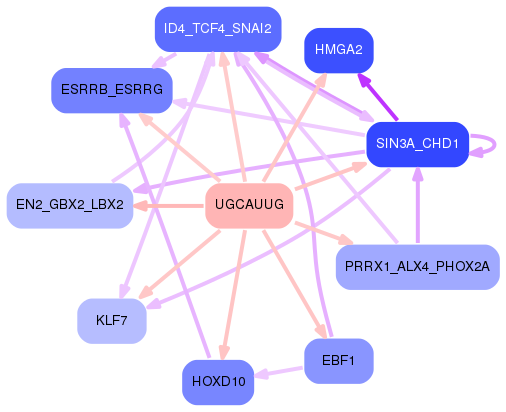 PNG image of the network