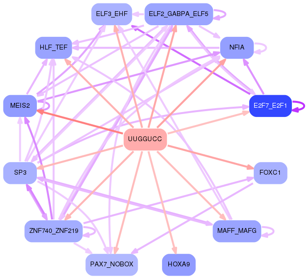 PNG image of the network