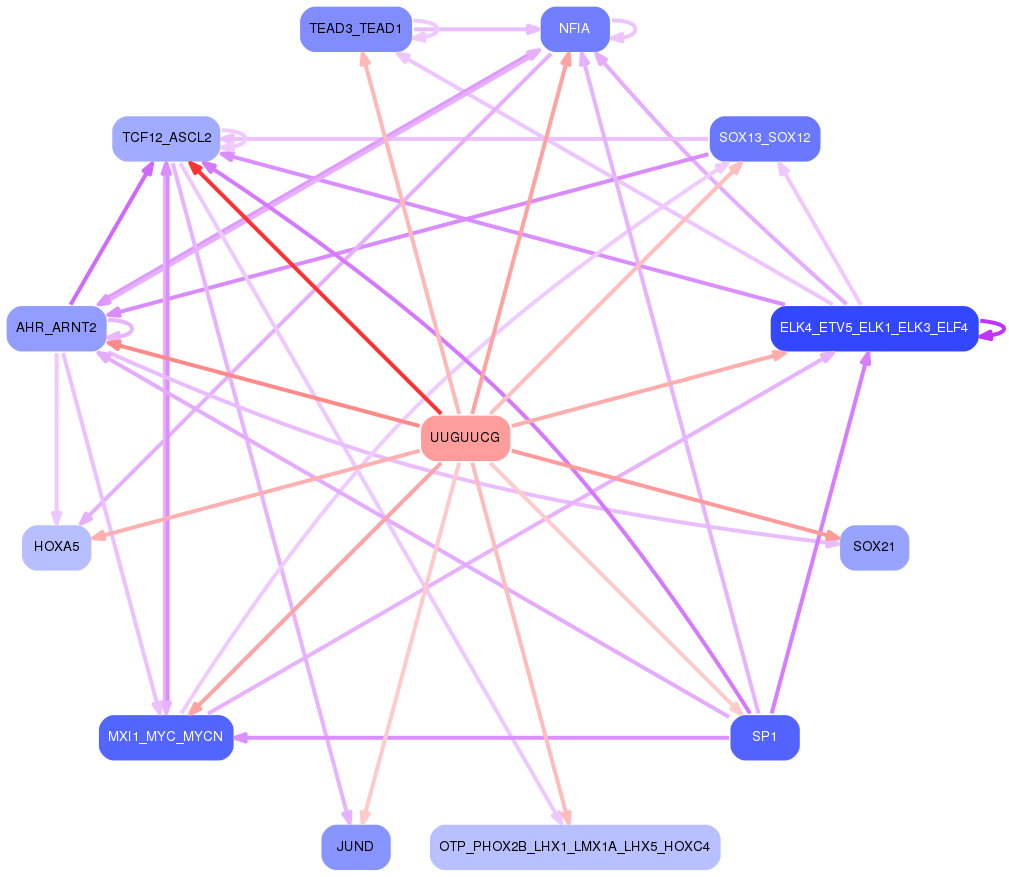 PNG image of the network