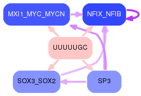 PNG image of the network