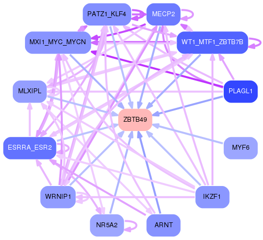 PNG image of the network