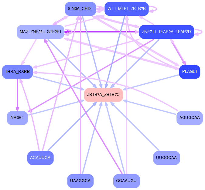 PNG image of the network