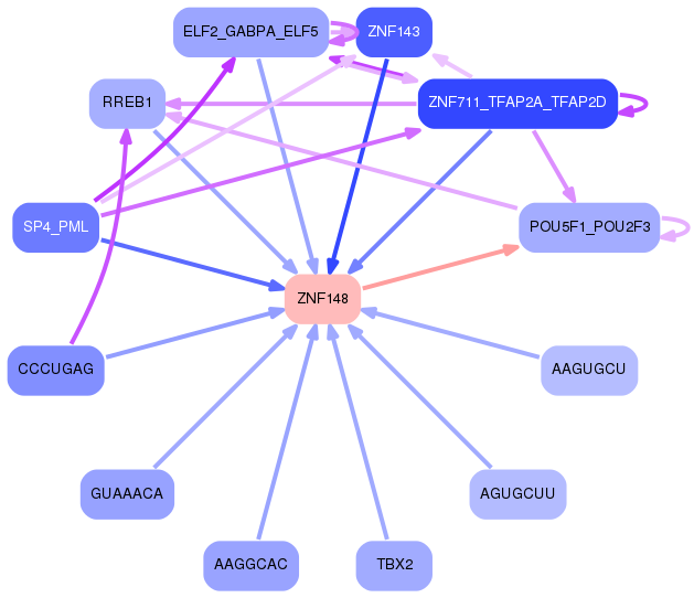 PNG image of the network