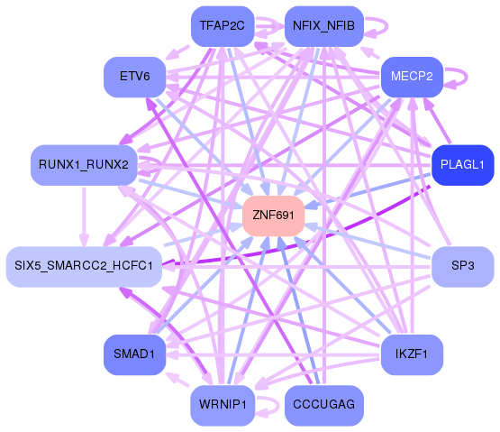 PNG image of the network