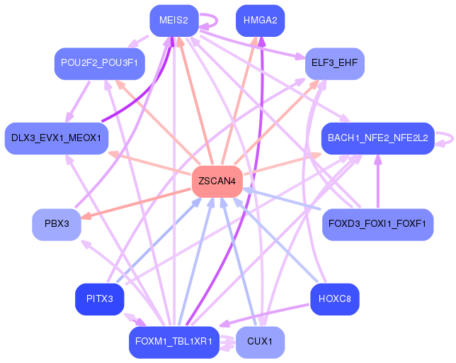 PNG image of the network