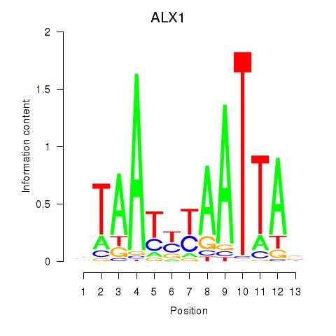 SeqLogo of ALX1_ARX
