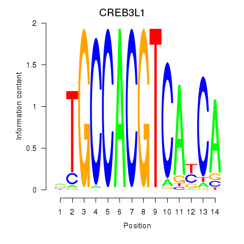 SeqLogo of CREB3L1_CREB3