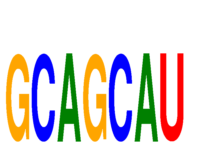 SeqLogo of GCAGCAU