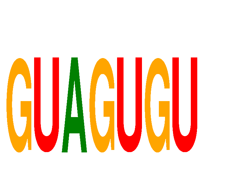 SeqLogo of GUAGUGU