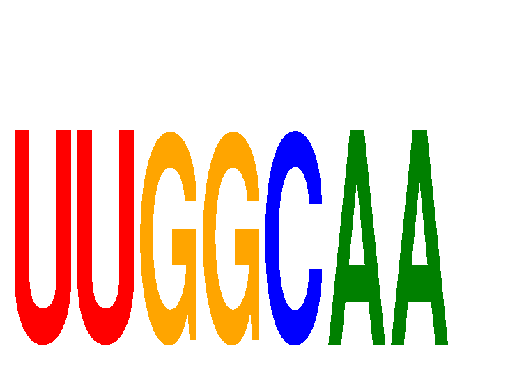 SeqLogo of UUGGCAA