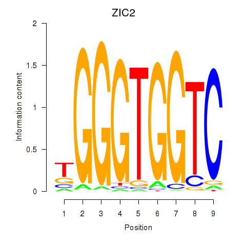 SeqLogo of ZIC2_GLI1