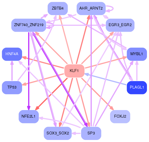 PNG image of the network