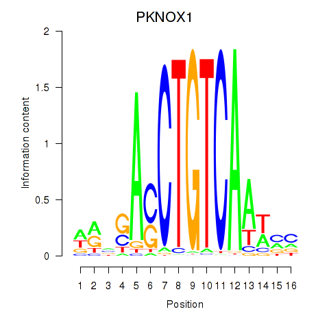 SeqLogo of PKNOX1_TGIF2