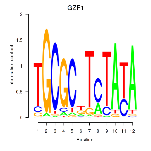 SeqLogo of GZF1