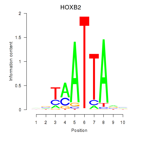 SeqLogo of HOXB2_UNCX_HOXD3