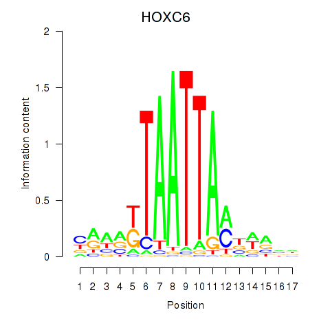 SeqLogo of HOXC6_HOXA7