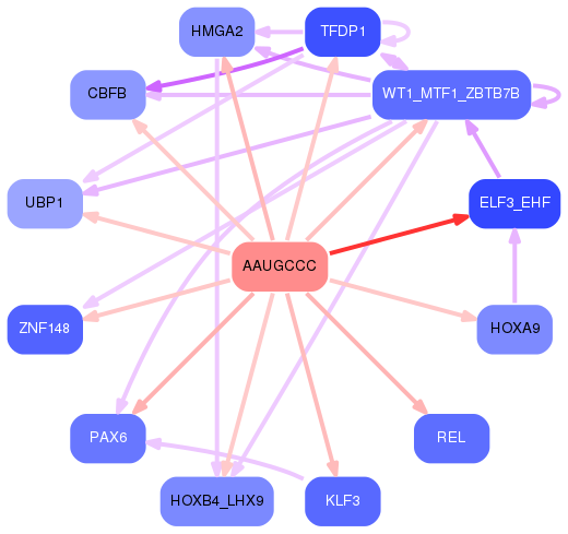 PNG image of the network