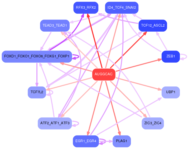 PNG image of the network