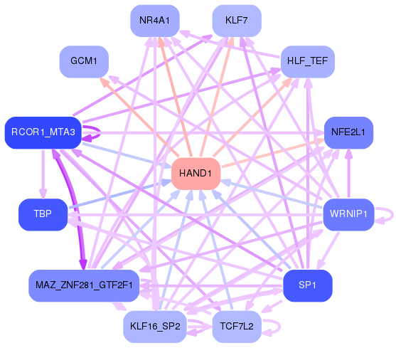 PNG image of the network