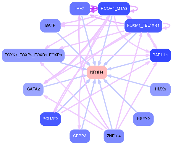 PNG image of the network