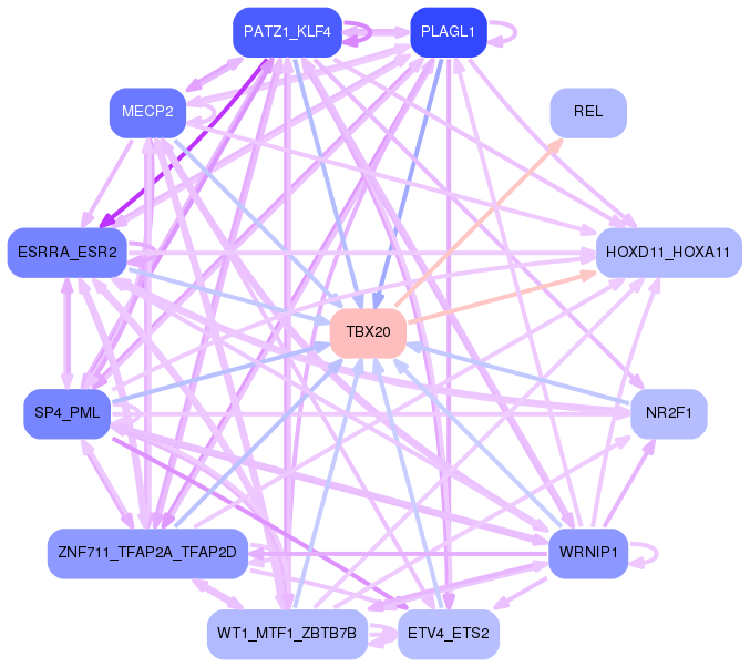 PNG image of the network