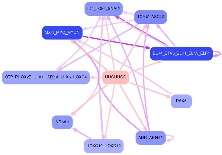 PNG image of the network