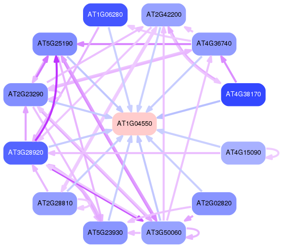 PNG image of the network