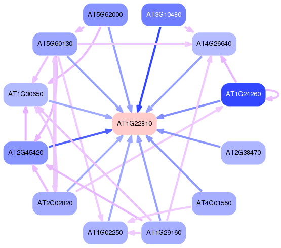 PNG image of the network