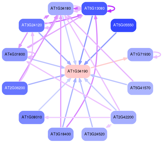 PNG image of the network