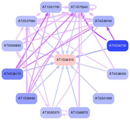 PNG image of the network