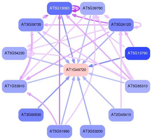 PNG image of the network