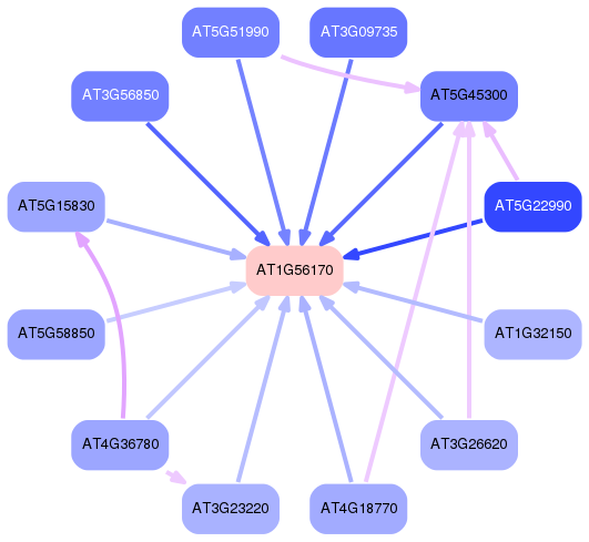 PNG image of the network
