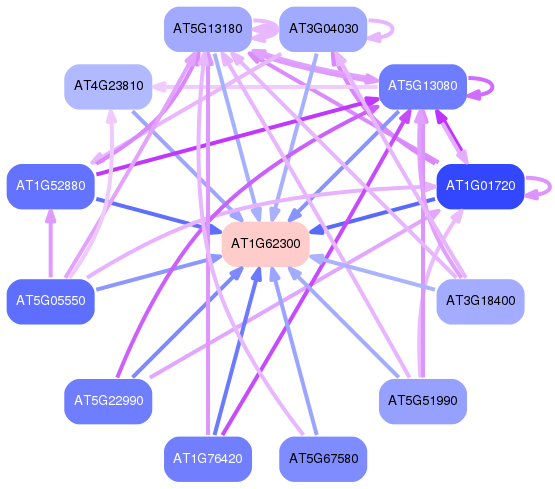 PNG image of the network