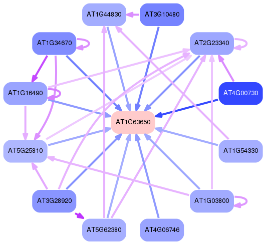 PNG image of the network