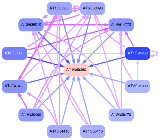PNG image of the network