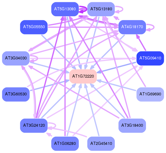 PNG image of the network